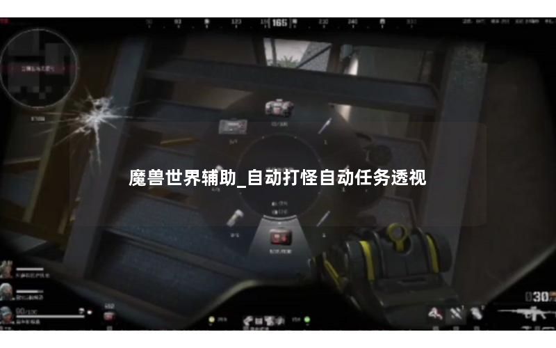 魔兽世界辅助_自动打怪自动任务透视