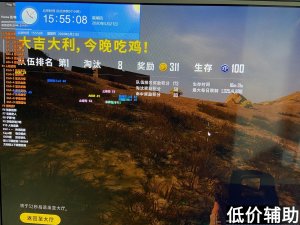 绝地求生霸王龙辅助：高端稳定吃鸡，独家内部功能，实力玩家